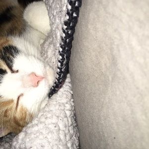 Meet your Posher, Micailla